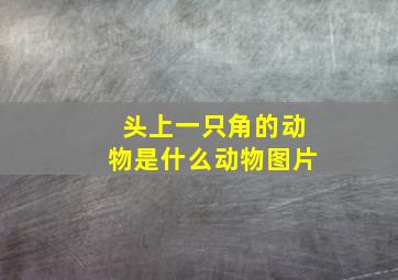 头上一只角的动物是什么动物图片