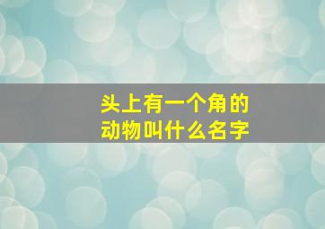 头上有一个角的动物叫什么名字