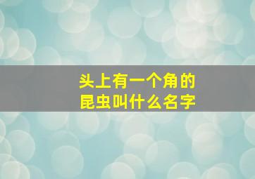 头上有一个角的昆虫叫什么名字