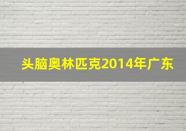 头脑奥林匹克2014年广东