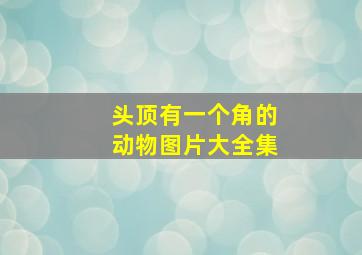 头顶有一个角的动物图片大全集