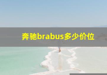 奔驰brabus多少价位