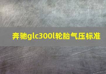 奔驰glc300l轮胎气压标准