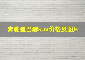 奔驰曼巴赫suv价格及图片