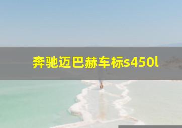 奔驰迈巴赫车标s450l