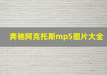 奔驰阿克托斯mp5图片大全