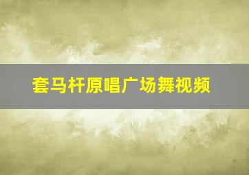 套马杆原唱广场舞视频