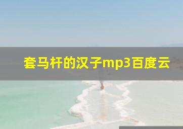 套马杆的汉子mp3百度云