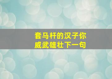 套马杆的汉子你威武雄壮下一句