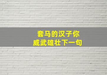 套马的汉子你威武雄壮下一句