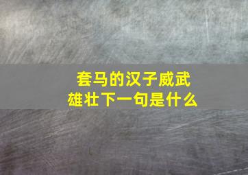 套马的汉子威武雄壮下一句是什么