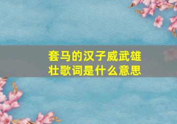 套马的汉子威武雄壮歌词是什么意思