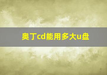 奥丁cd能用多大u盘