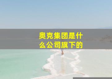 奥克集团是什么公司旗下的