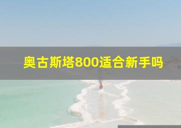 奥古斯塔800适合新手吗