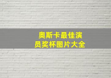 奥斯卡最佳演员奖杯图片大全