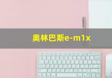 奥林巴斯e-m1x