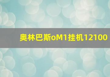 奥林巴斯oM1挂机12100