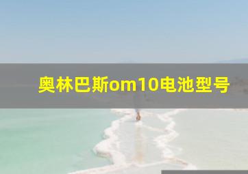 奥林巴斯om10电池型号