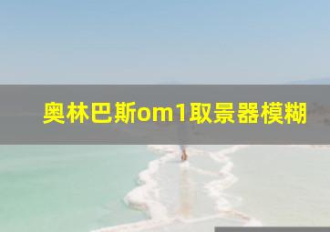 奥林巴斯om1取景器模糊