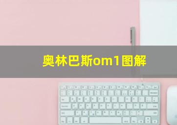 奥林巴斯om1图解