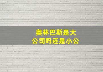 奥林巴斯是大公司吗还是小公