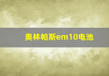 奥林帕斯em10电池