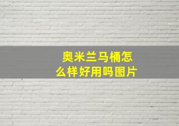 奥米兰马桶怎么样好用吗图片