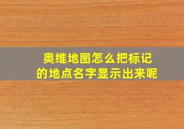 奥维地图怎么把标记的地点名字显示出来呢