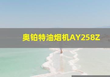 奥铂特油烟机AY258Z