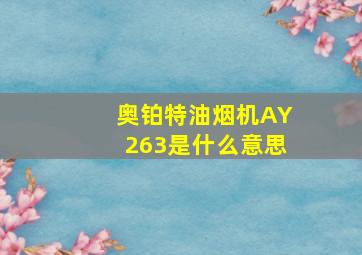 奥铂特油烟机AY263是什么意思