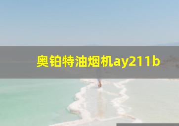 奥铂特油烟机ay211b