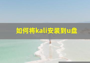 如何将kali安装到u盘