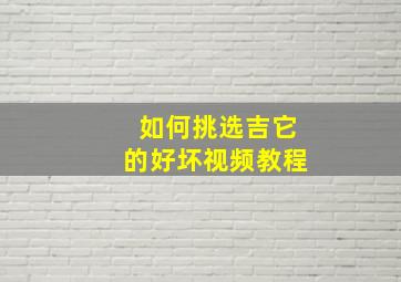 如何挑选吉它的好坏视频教程