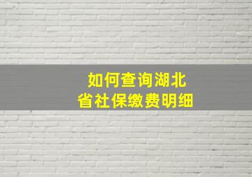 如何查询湖北省社保缴费明细