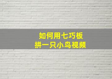 如何用七巧板拼一只小鸟视频