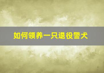 如何领养一只退役警犬