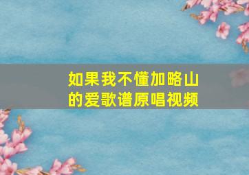 如果我不懂加略山的爱歌谱原唱视频