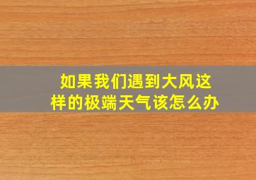 如果我们遇到大风这样的极端天气该怎么办