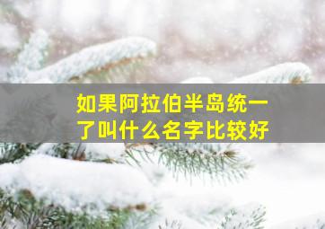 如果阿拉伯半岛统一了叫什么名字比较好