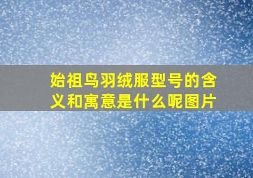 始祖鸟羽绒服型号的含义和寓意是什么呢图片