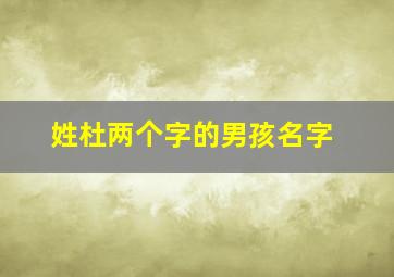 姓杜两个字的男孩名字