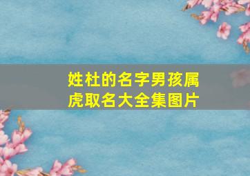 姓杜的名字男孩属虎取名大全集图片