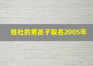 姓杜的男孩子取名2005年