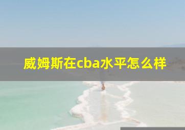 威姆斯在cba水平怎么样