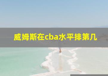 威姆斯在cba水平排第几