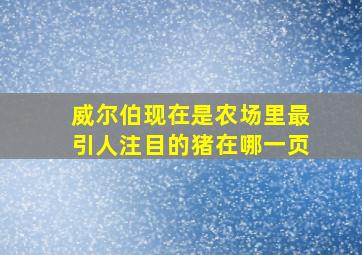 威尔伯现在是农场里最引人注目的猪在哪一页