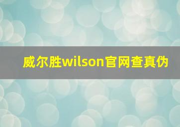 威尔胜wilson官网查真伪