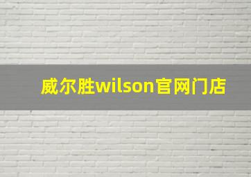 威尔胜wilson官网门店