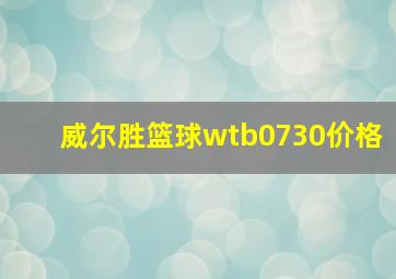 威尔胜篮球wtb0730价格